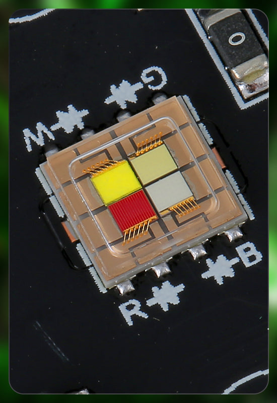 RGBW LED 4in1