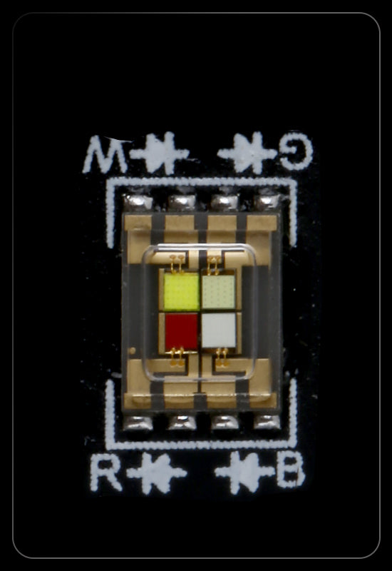 RGBW LED LAMPBEADS
